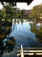 京都の庭園を写した写真。透き通った池が目の前に広がっています。